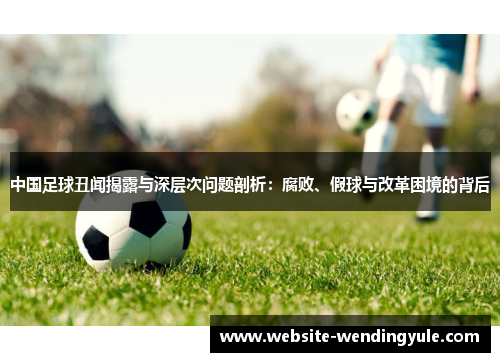 中国足球丑闻揭露与深层次问题剖析：腐败、假球与改革困境的背后